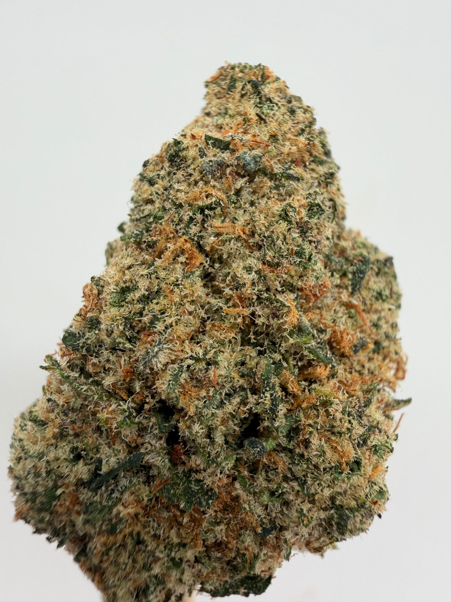 🧀 Cheese CBD – Genética USA Premium | GreenWitch