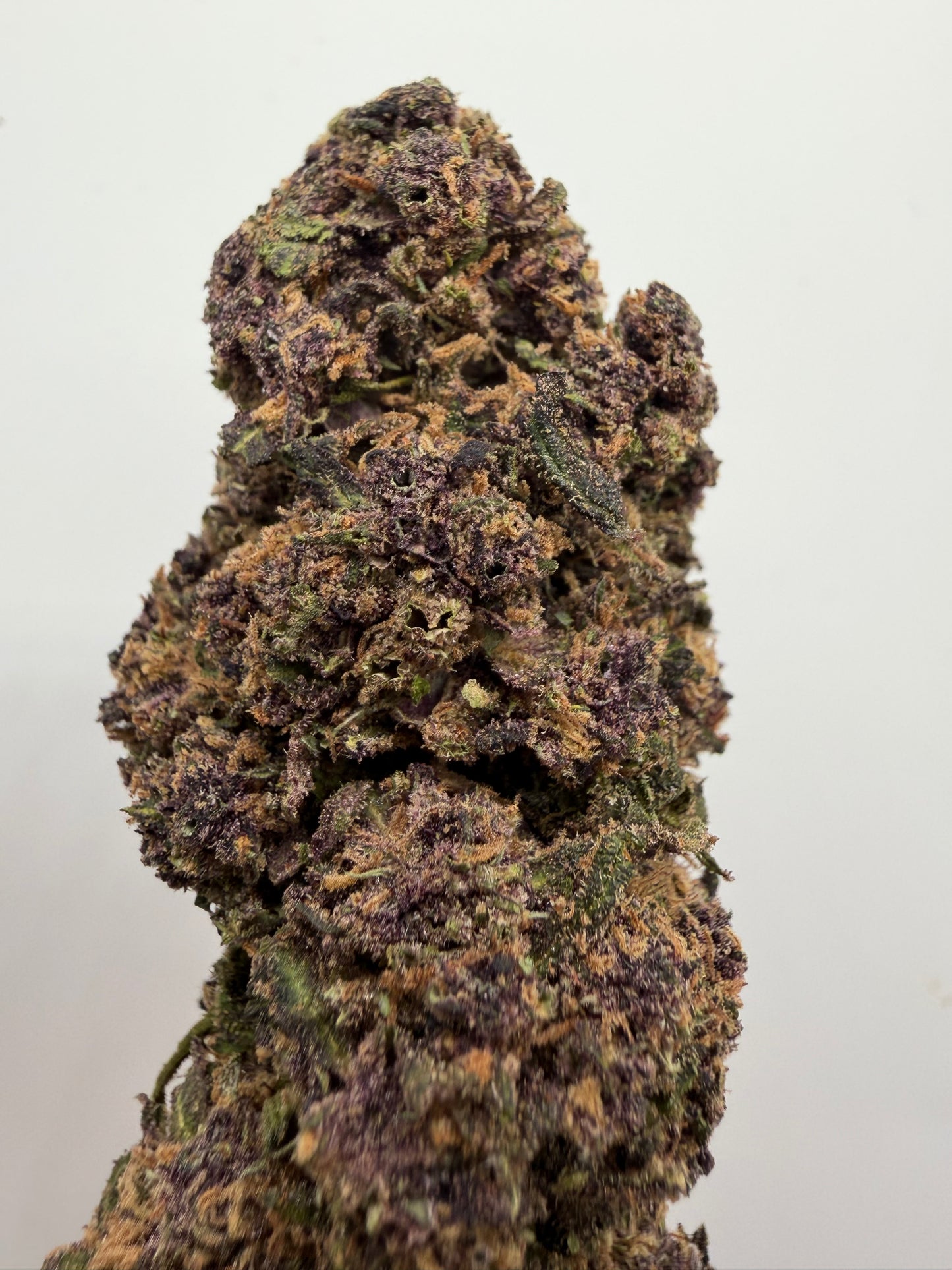 Oreo Cookie CBD Exterior | Flor CBD Premium Outdoor | Greenwitch CBD
