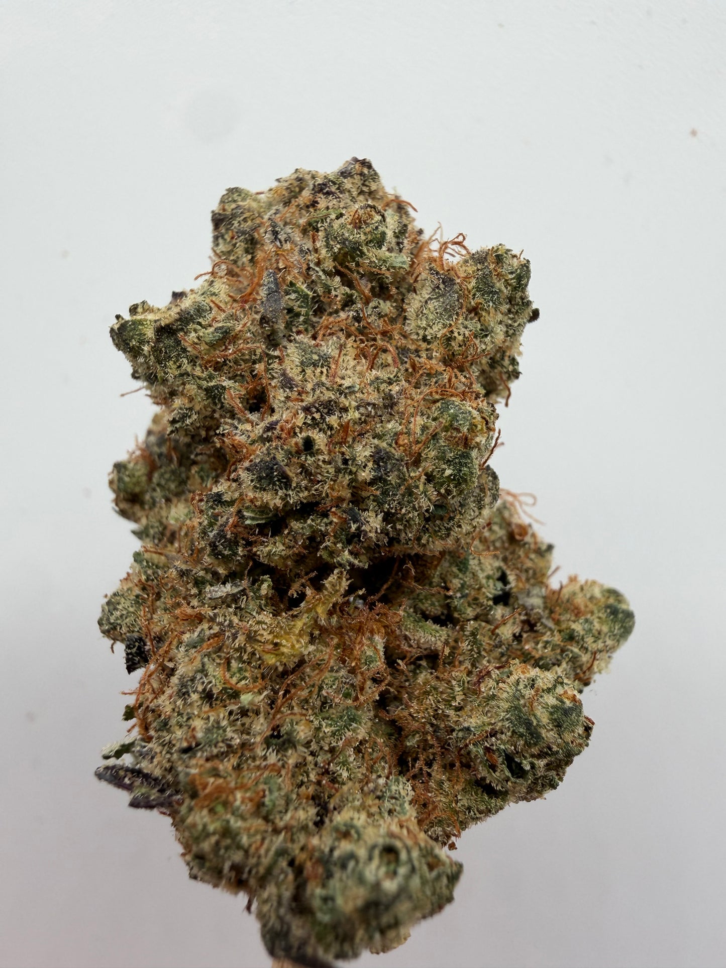 Amnesia California x OG Kush CBD Hidropónica | Comprar Flor CBD Premium | Greenwitch CBD