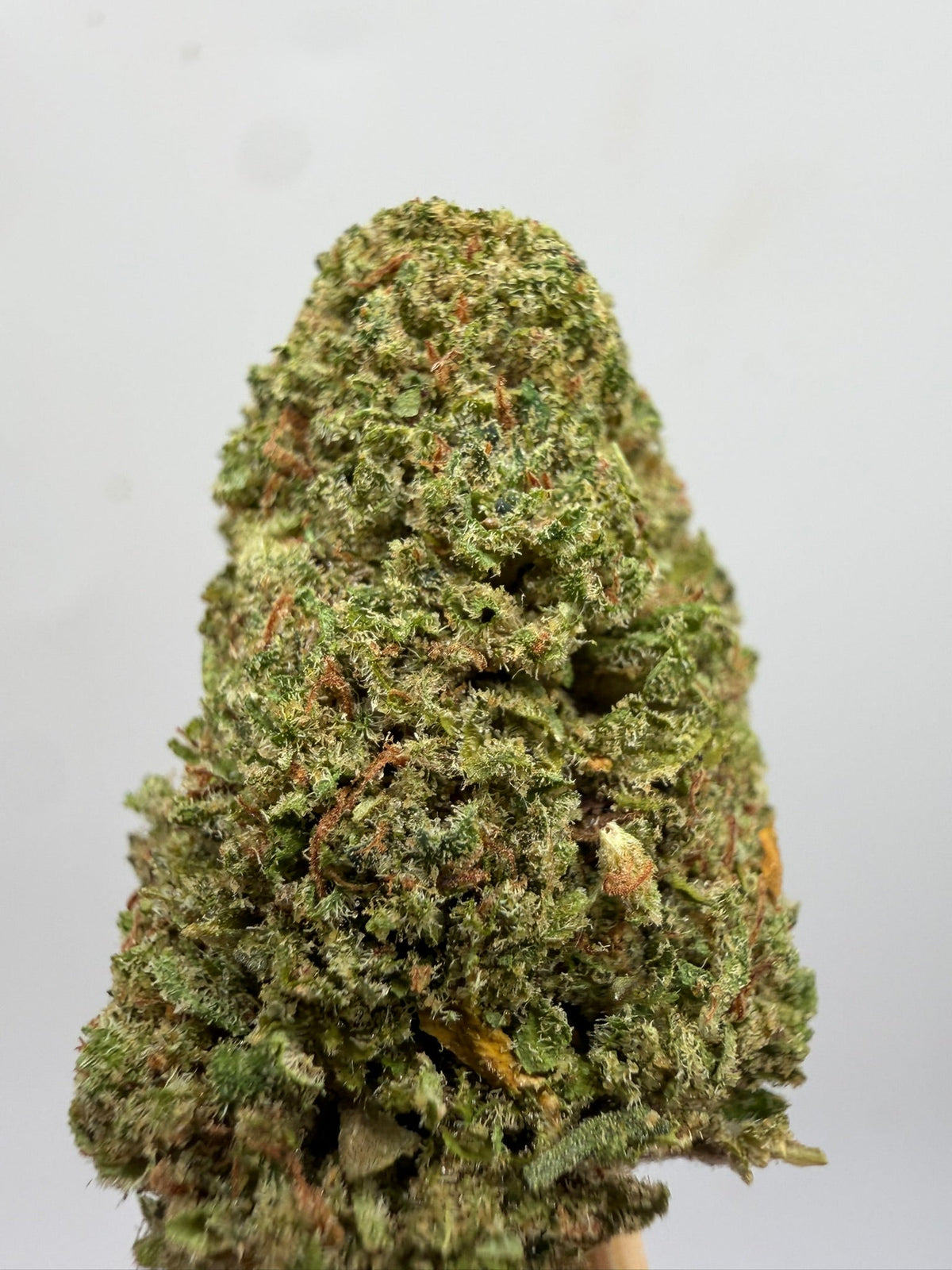 Flor CBD Berry Pie greenhouse – GreenWitch, tienda CBD en Jaén