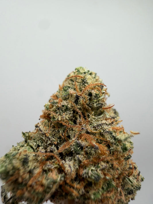 Mini buds CBD Amnesia x OG Kush californiana – GreenWitch, tienda CBD en Jaén (foto 2)