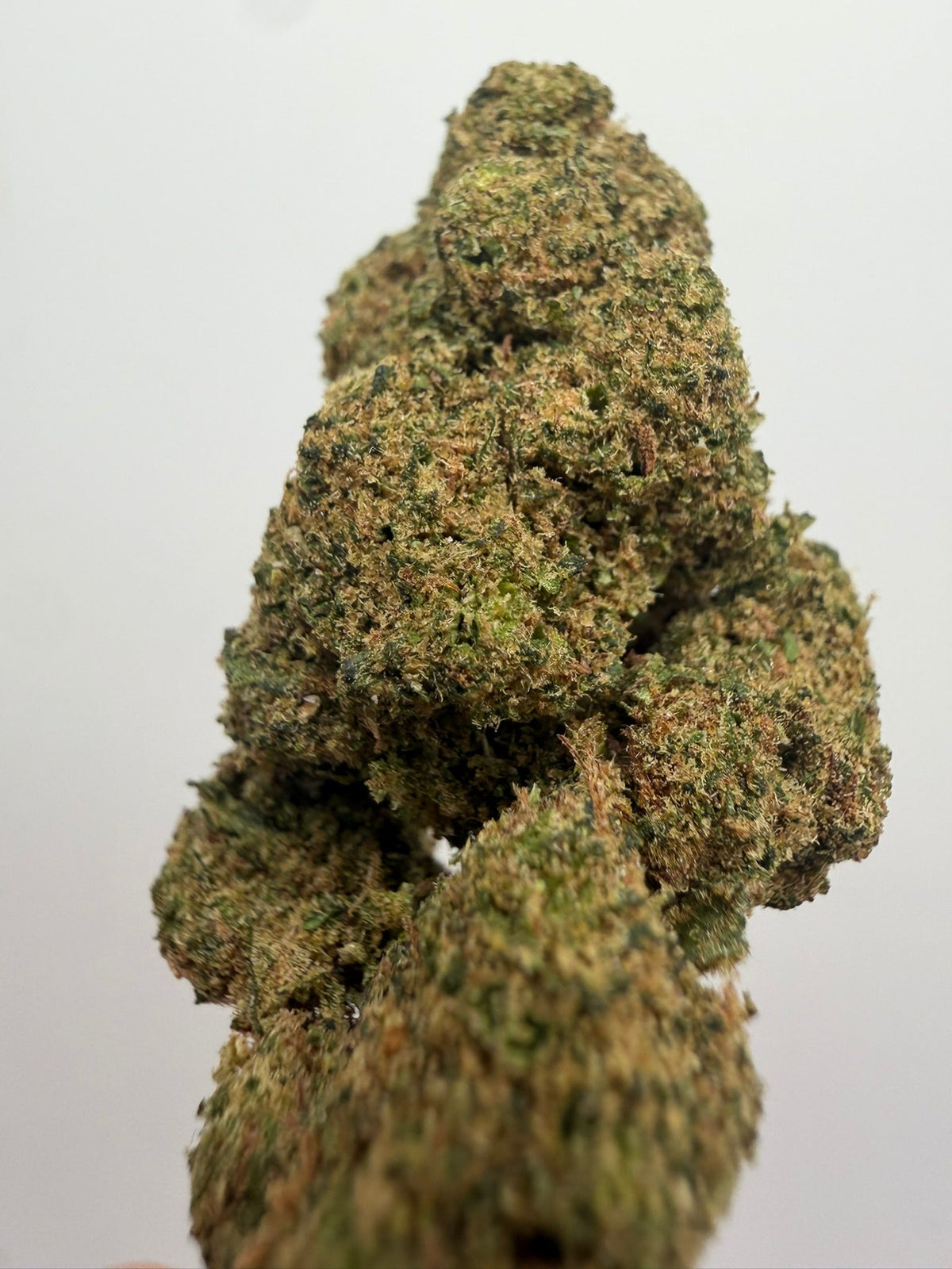 Flor 10-OH Alien Kush hidropónica – GreenWitch, tienda CBD en Jaén
