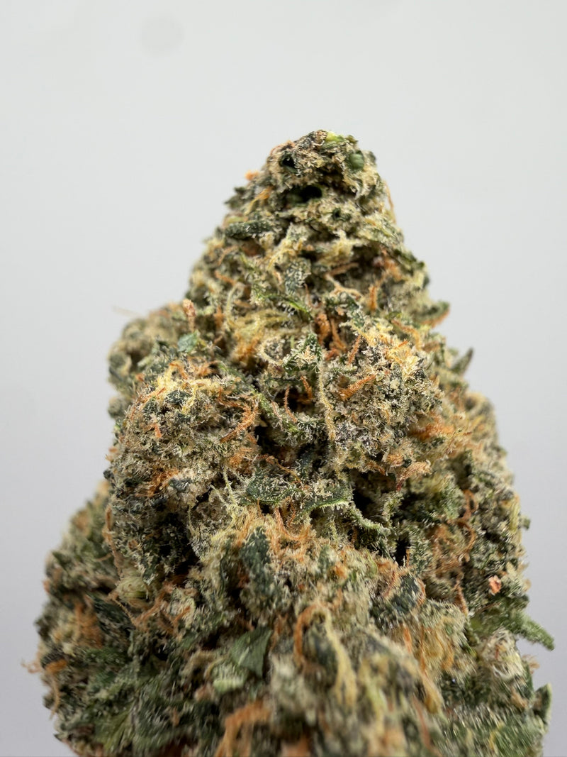 Gelato CBD Californiana (EE.UU.) – Flor CBD premium