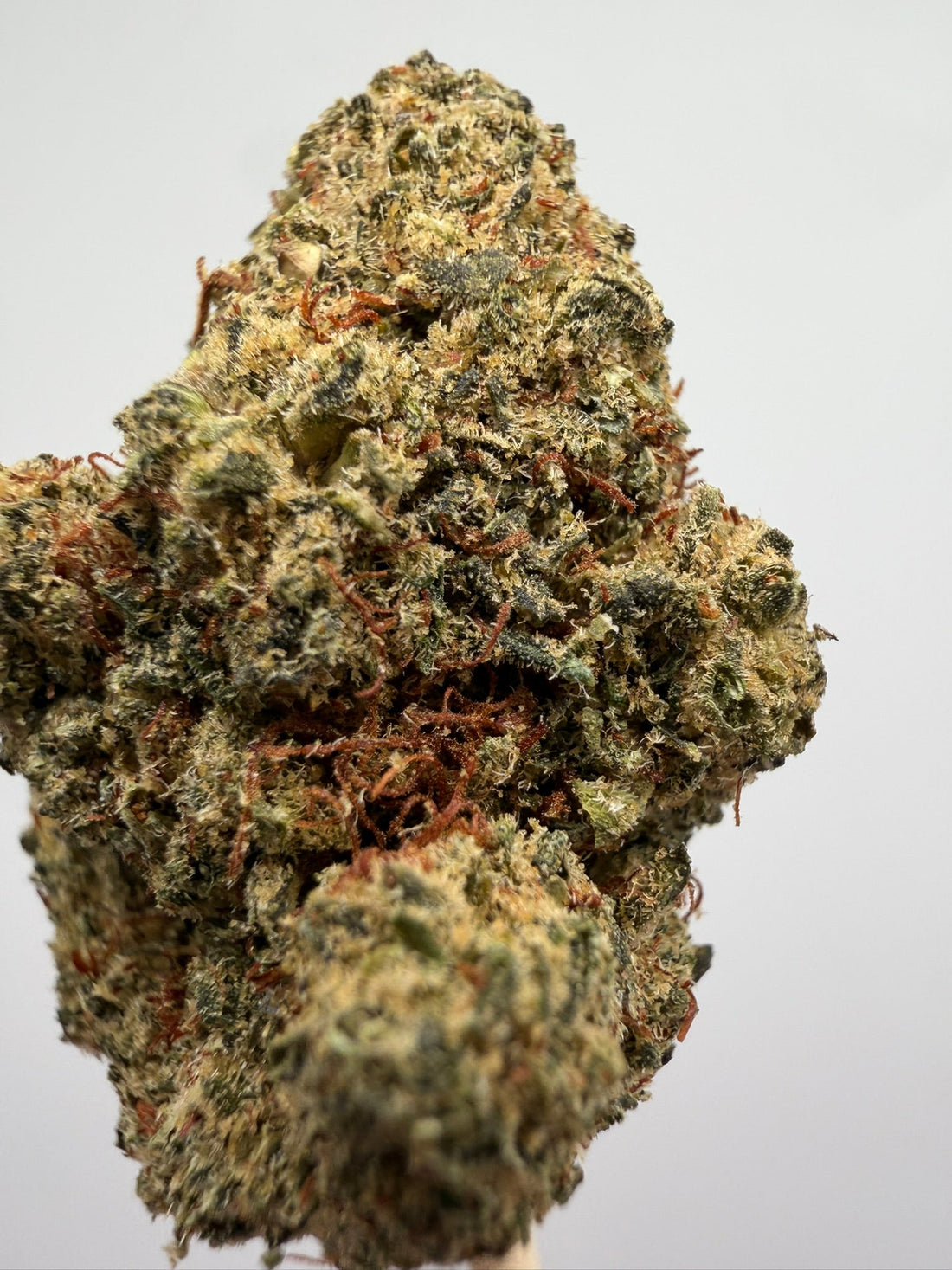 Sunset Sherbet CBD Greenhouse de GreenWitch, CBD en Jerez de la Frontera