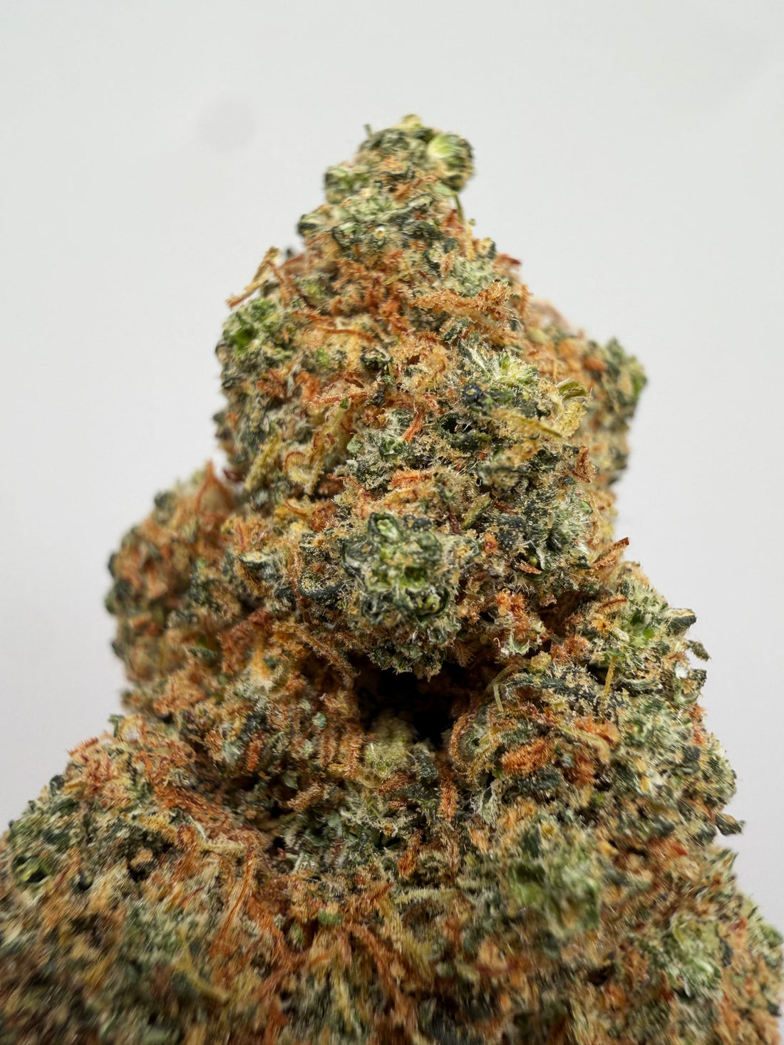 Flor 10-OH Mango hidropónica de GreenWitch con envío a Almería