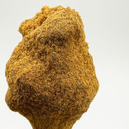 Moonrock 70% OH-10 | Potencia extrema con nuevo cannabinoide – GreenWitch CBD