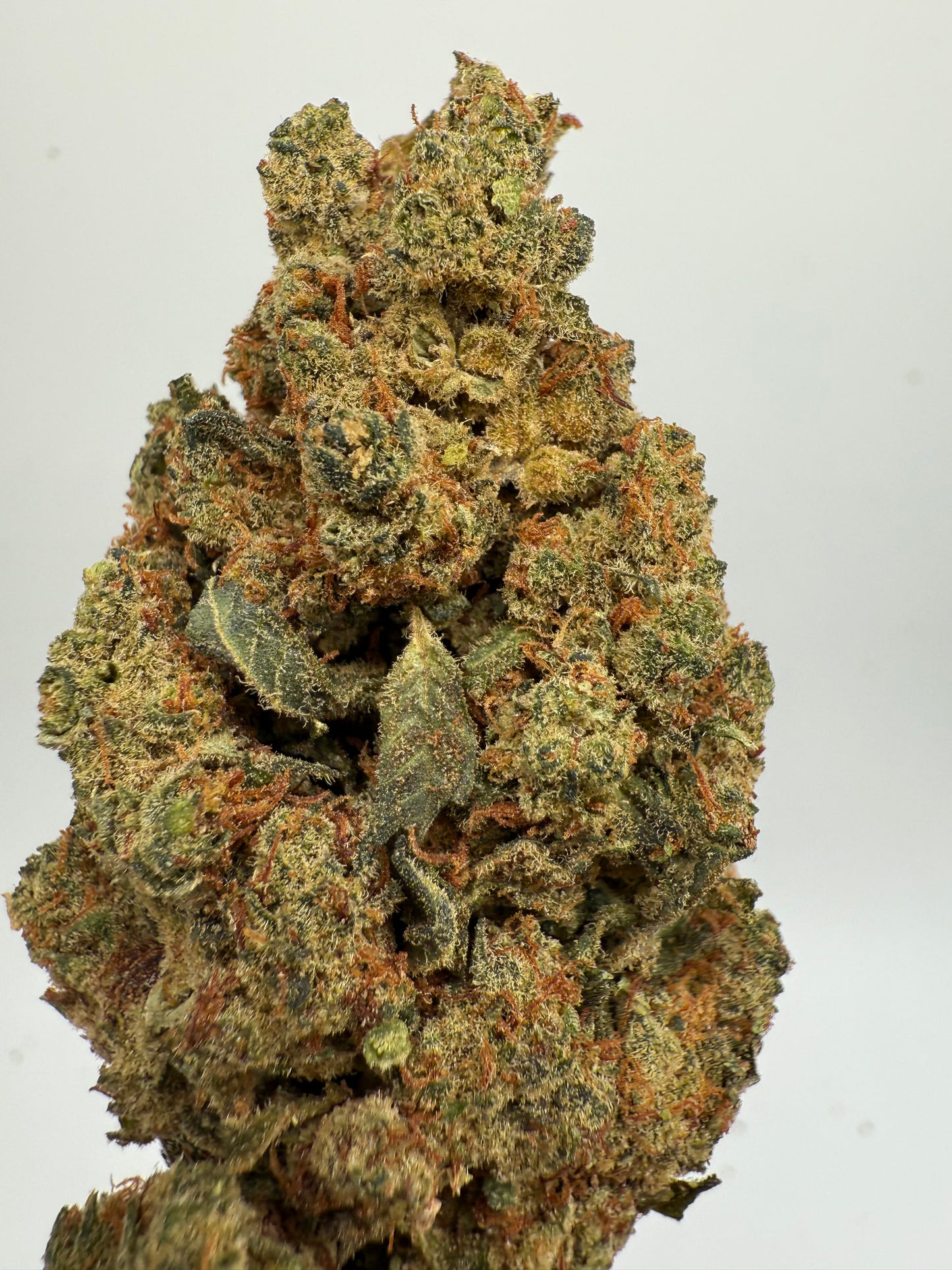 Amnesia Indoor OH-10 | Flor Premium Indoor de Alta Calidad | Greenwitch CBD