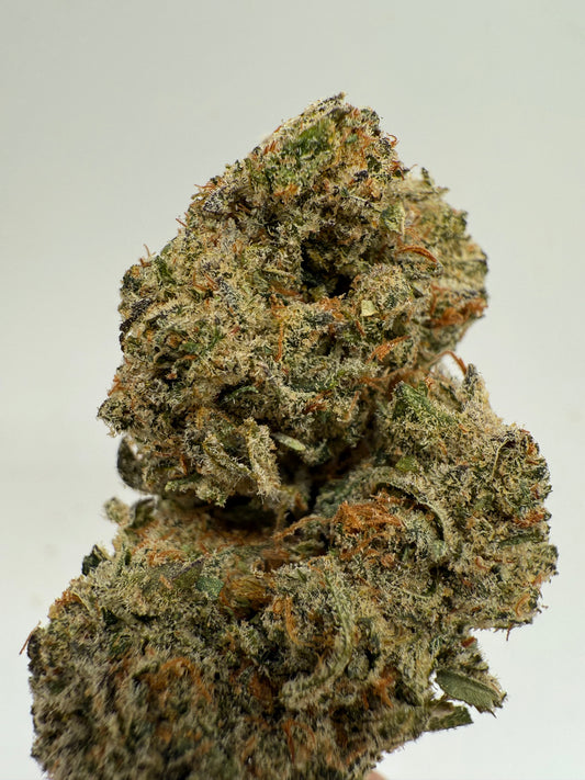 Amnesia CBD | Flor Premium con Aroma Intenso y Efecto Relajante | GreenWitch