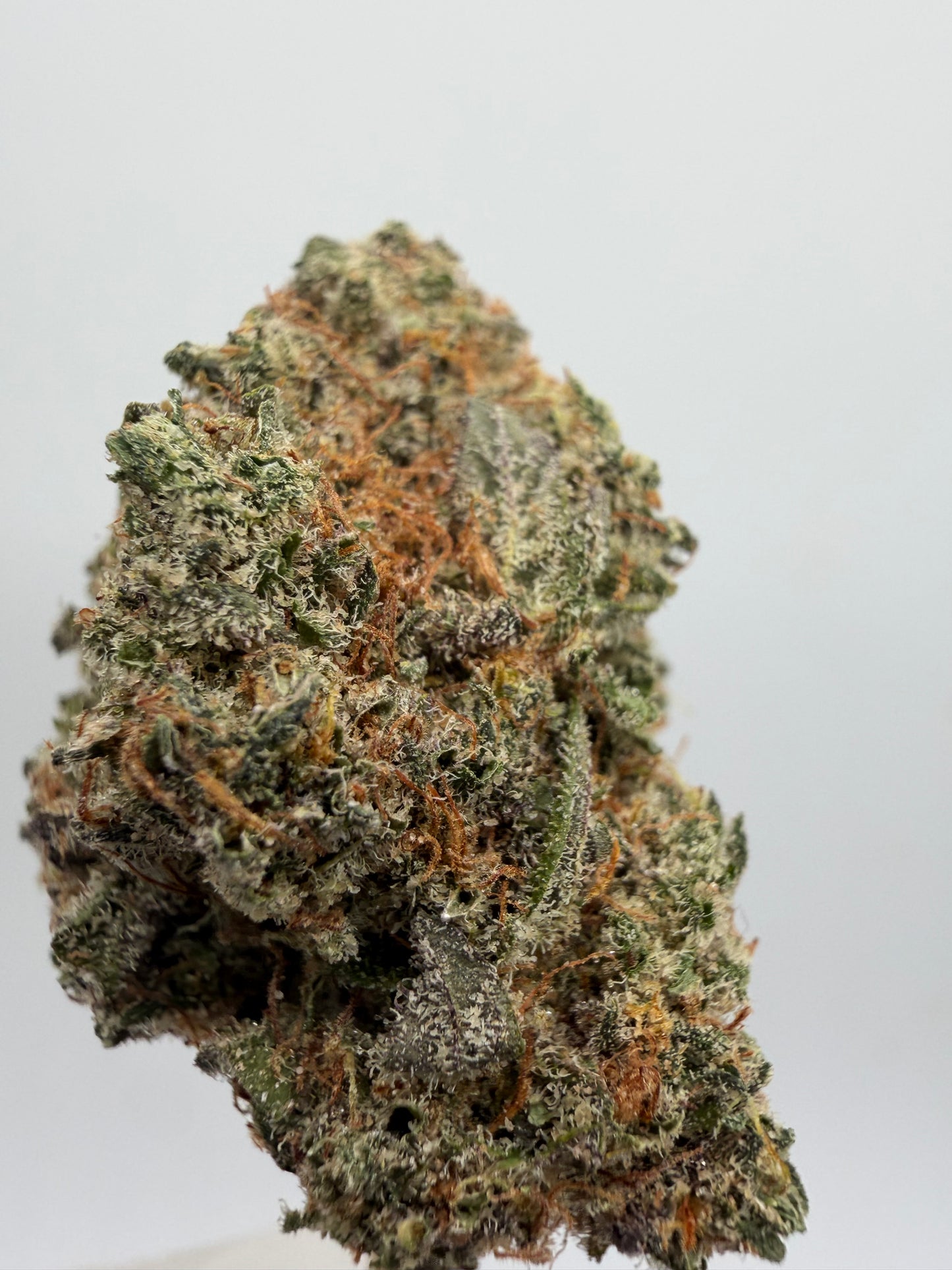 🍀 Green Poison CBD Indoor – Genética USA Premium | GreenWitch