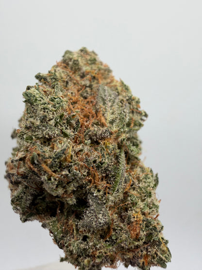 🍀 Green Poison CBD Indoor – Genética USA Premium | GreenWitch