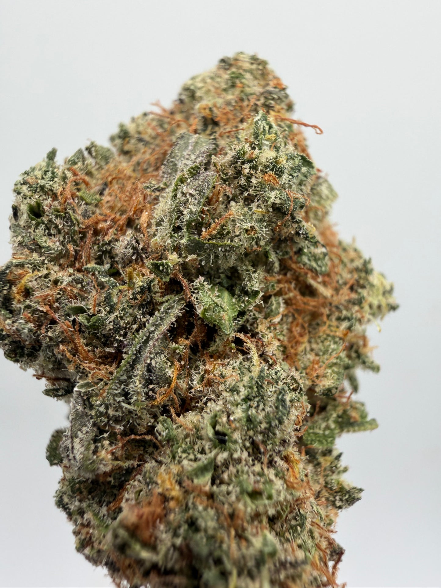 🍀 Green Poison CBD Indoor – Genética USA Premium | GreenWitch