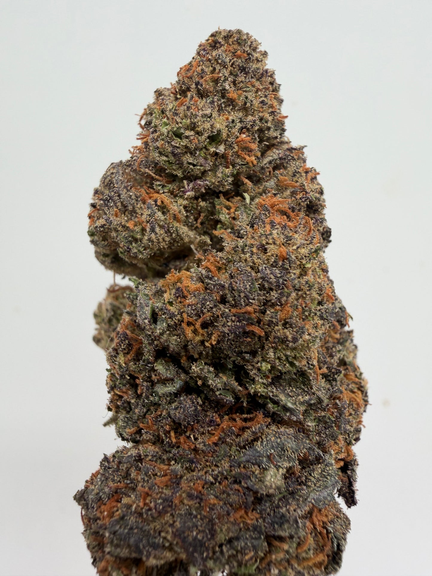 🧀 Cheese Glasshouse – 5g por 15€ | Genética USA | GreenWitch