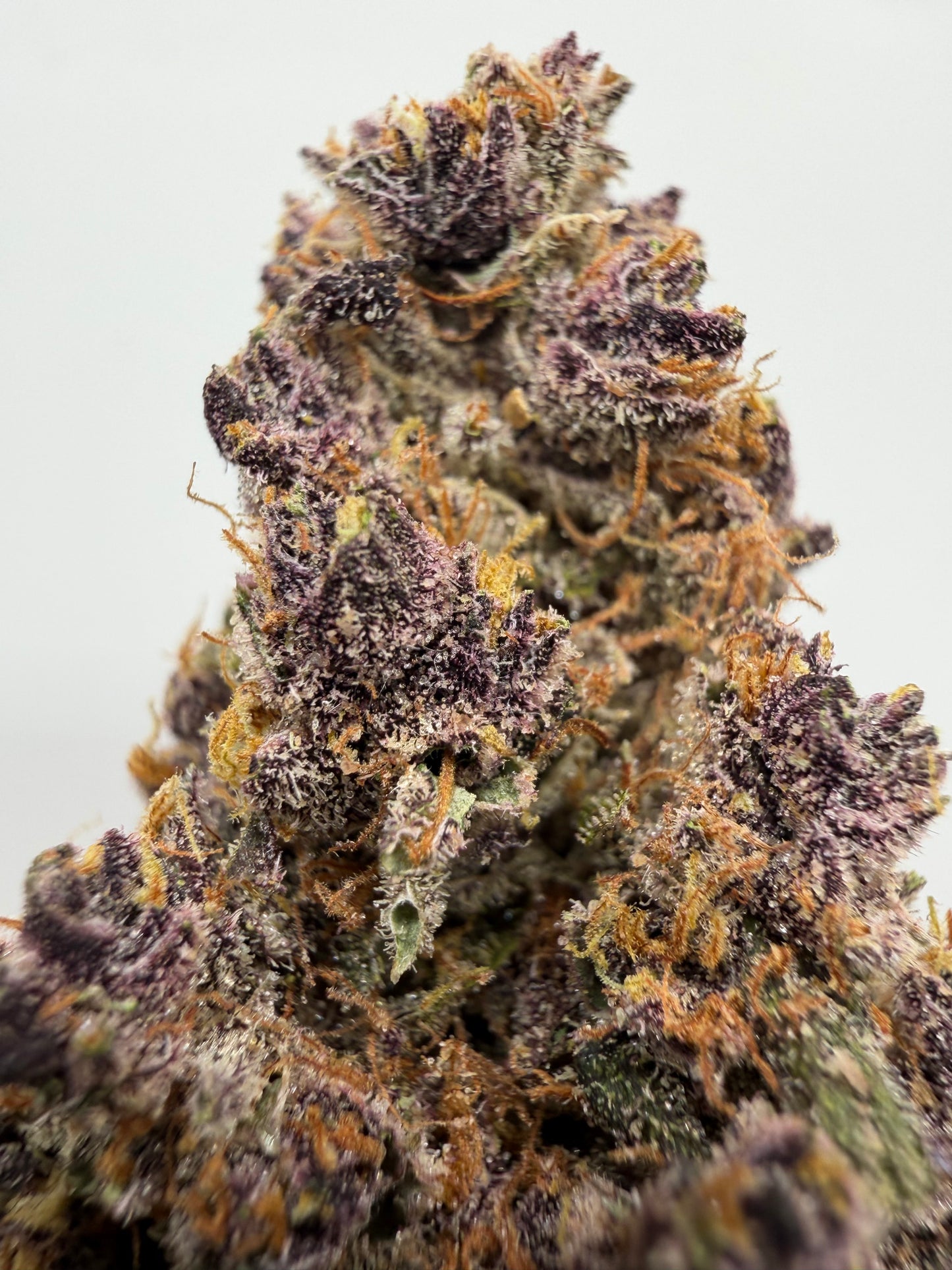 Purple Haze CBD | Comprar Flor CBD Premium | Greenwitch CBD