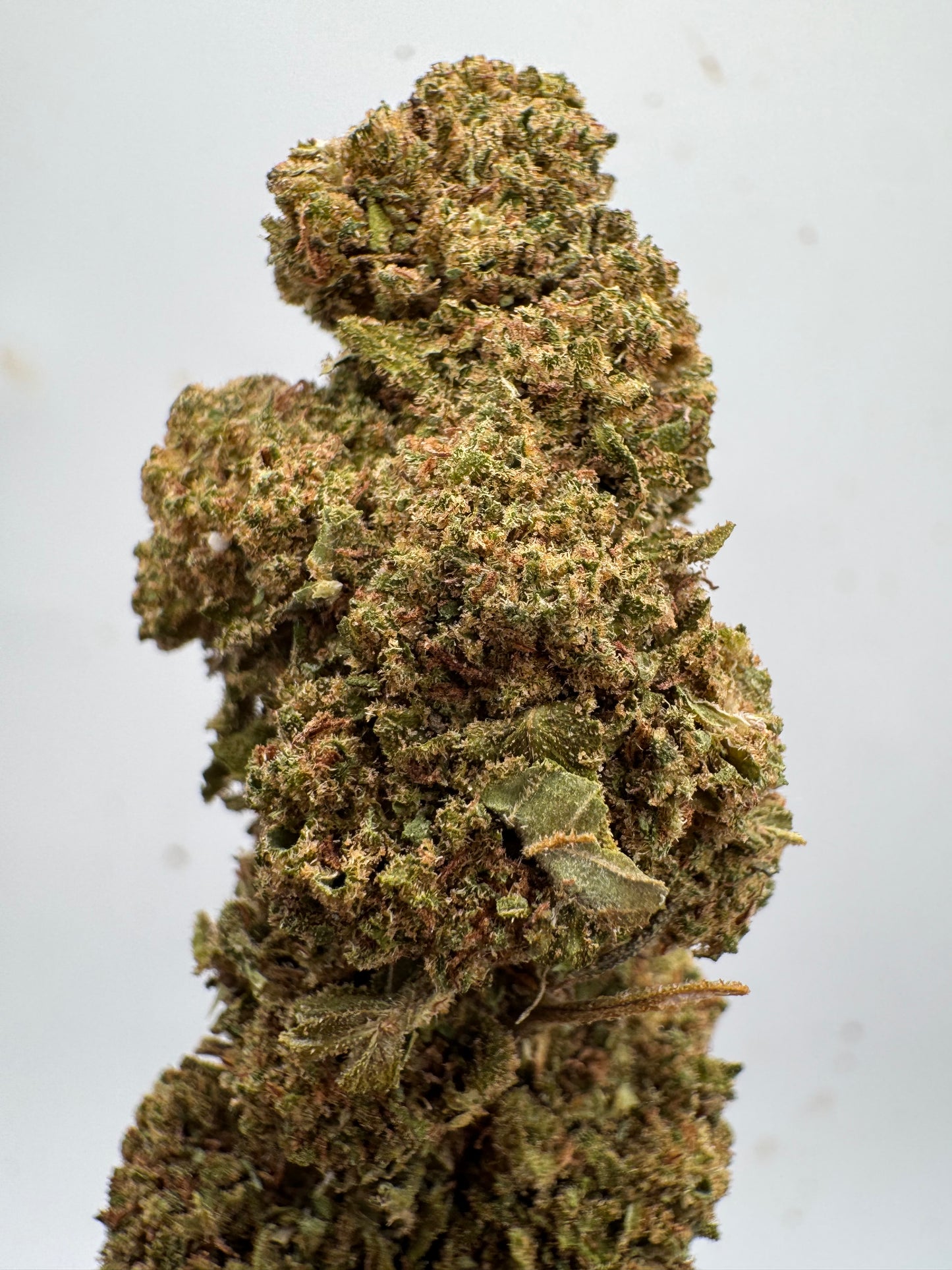 Amnesia CBD 15% Glasshouse | Aroma cítrico y efecto relajante | GreenWitch CBD