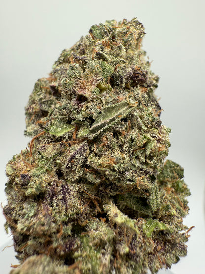 Flor Gorilla Glue Hidropónica: La Potencia que lo Cambia Todo | GreenWitch