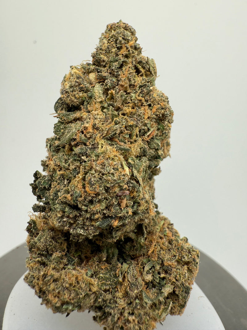 Gelato CBD Californiana (EE.UU.) – Flor CBD premium