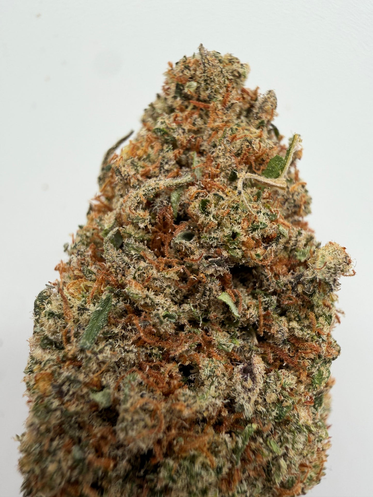 Cream Caramel CBD Hidropónica | Comprar Flor CBD Premium | Greenwitch CBD