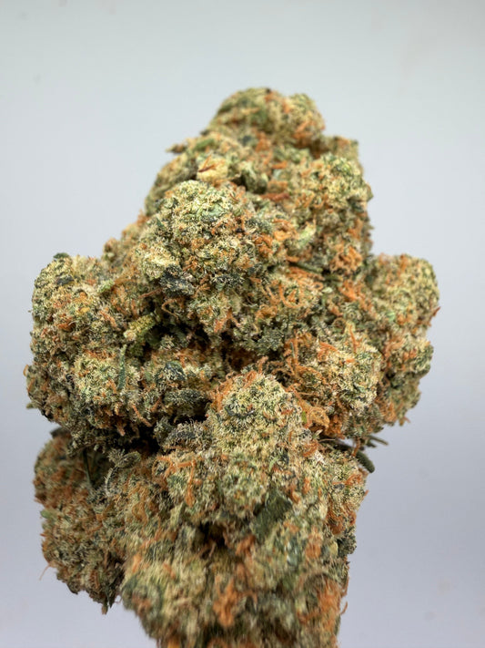 Flor CBD Amnesia hidropónica – GreenWitch, tienda CBD en Jaén