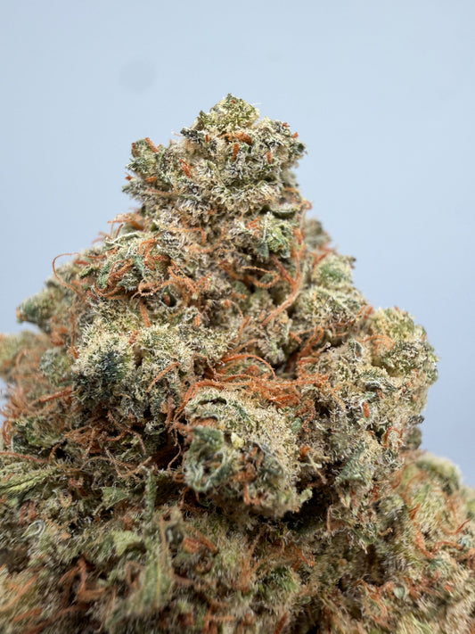 Flor CBD Northern Lights hidropónica – GreenWitch, tienda CBD en Jaén