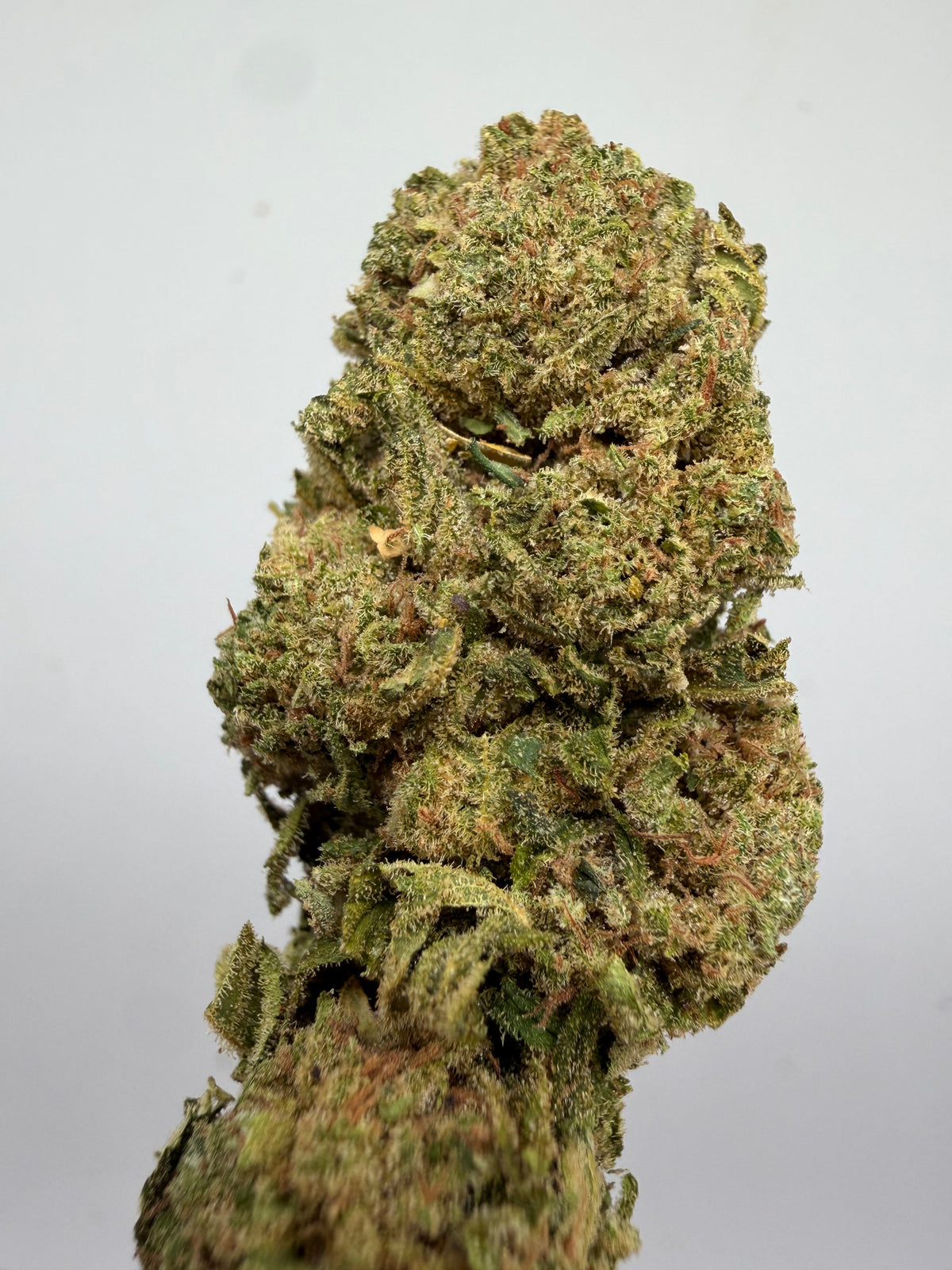 Flor CBD Amnesia greenhouse – GreenWitch, tienda CBD en Jaén (foto 2)