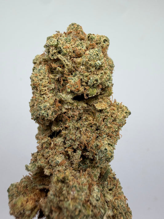 Flor CBD White Widow hidropónica – GreenWitch, tienda CBD en Jaén