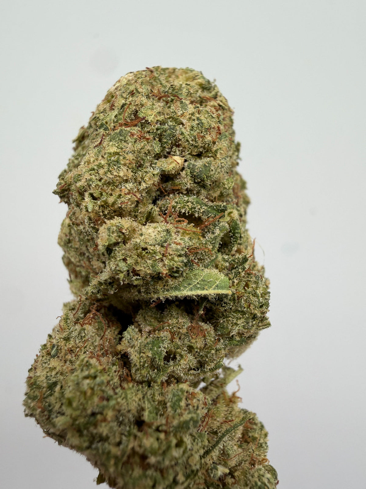 Flor CBD Wedding Cake hidropónica – GreenWitch, tienda CBD en Jaén
