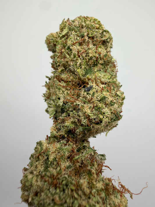Flor CBD Orange Sherbet hidropónica – GreenWitch, tienda CBD en Jaén (foto 1)