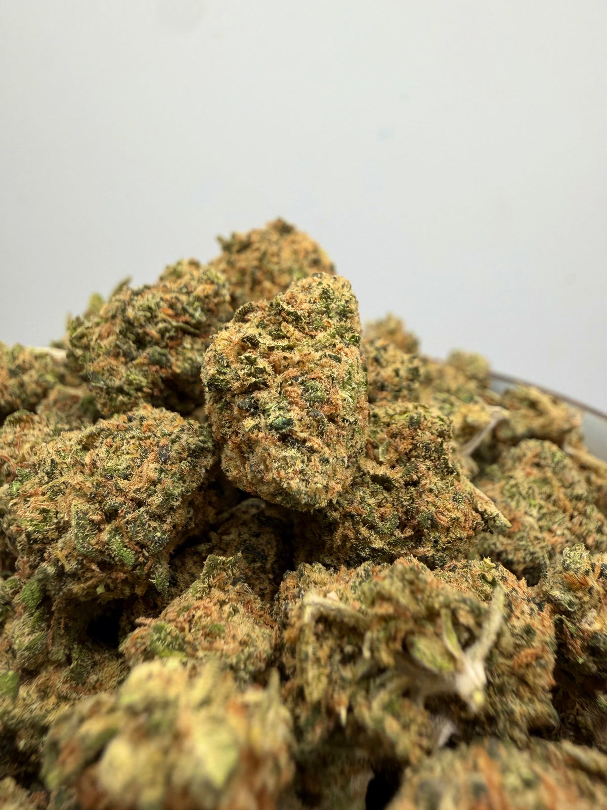 Mini buds CBD Gelato hidropónicos – GreenWitch, tienda CBD en Jaén (foto 2)