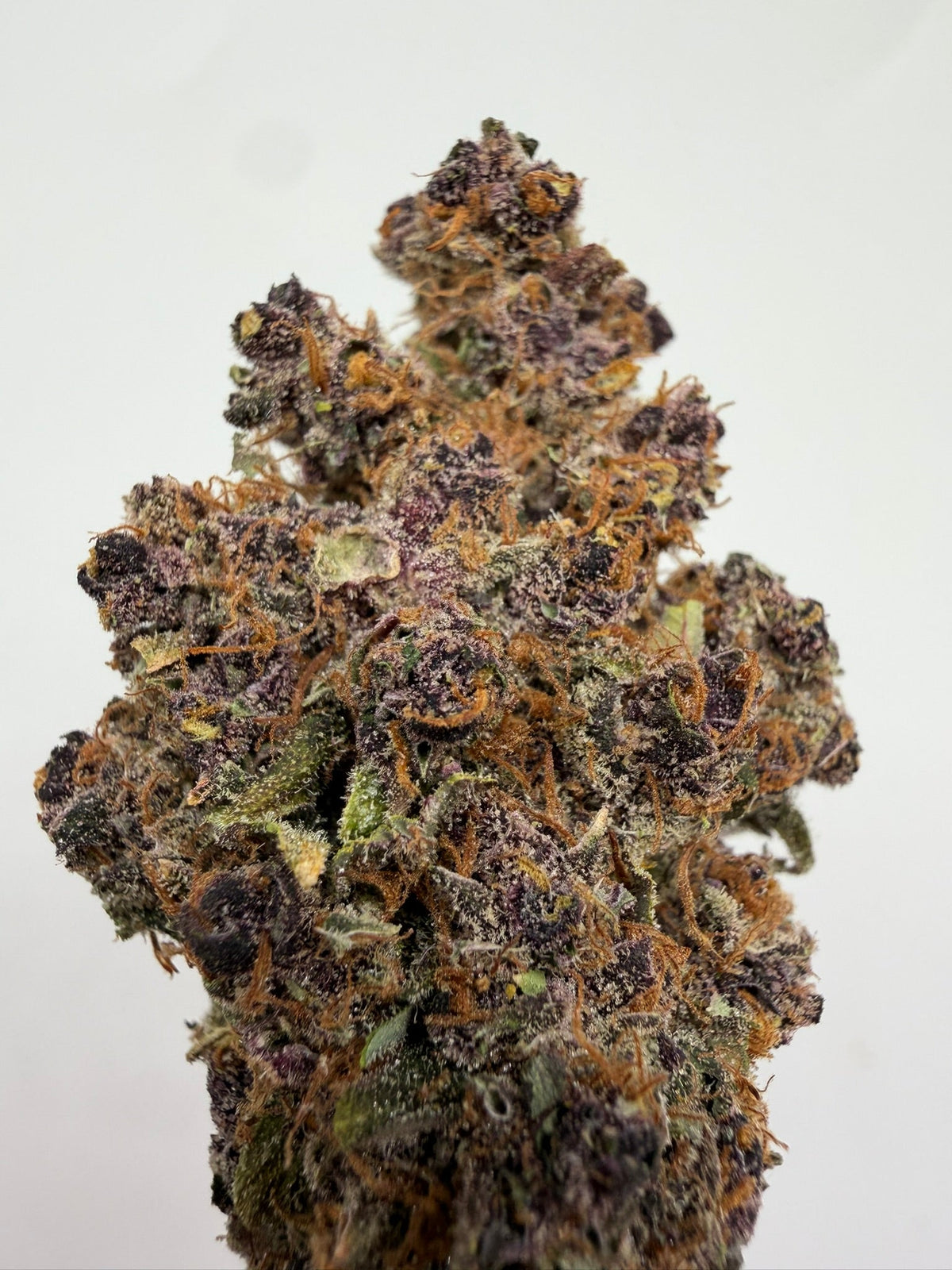 Flor CBD Purple Haze californiana – GreenWitch, tienda CBD en Jaén (foto 2)