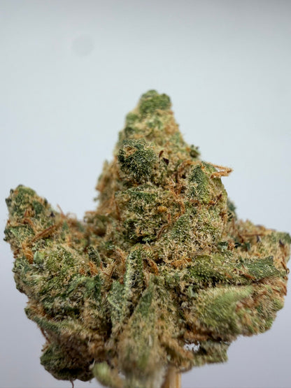 Mini buds CBD Amnesia hidropónicos – GreenWitch, tienda CBD en Jaén (foto 1)