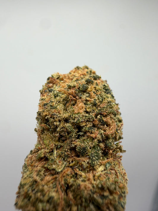 Mini buds CBD Gelato hidropónicos – GreenWitch, tienda CBD en Jaén (foto 1)