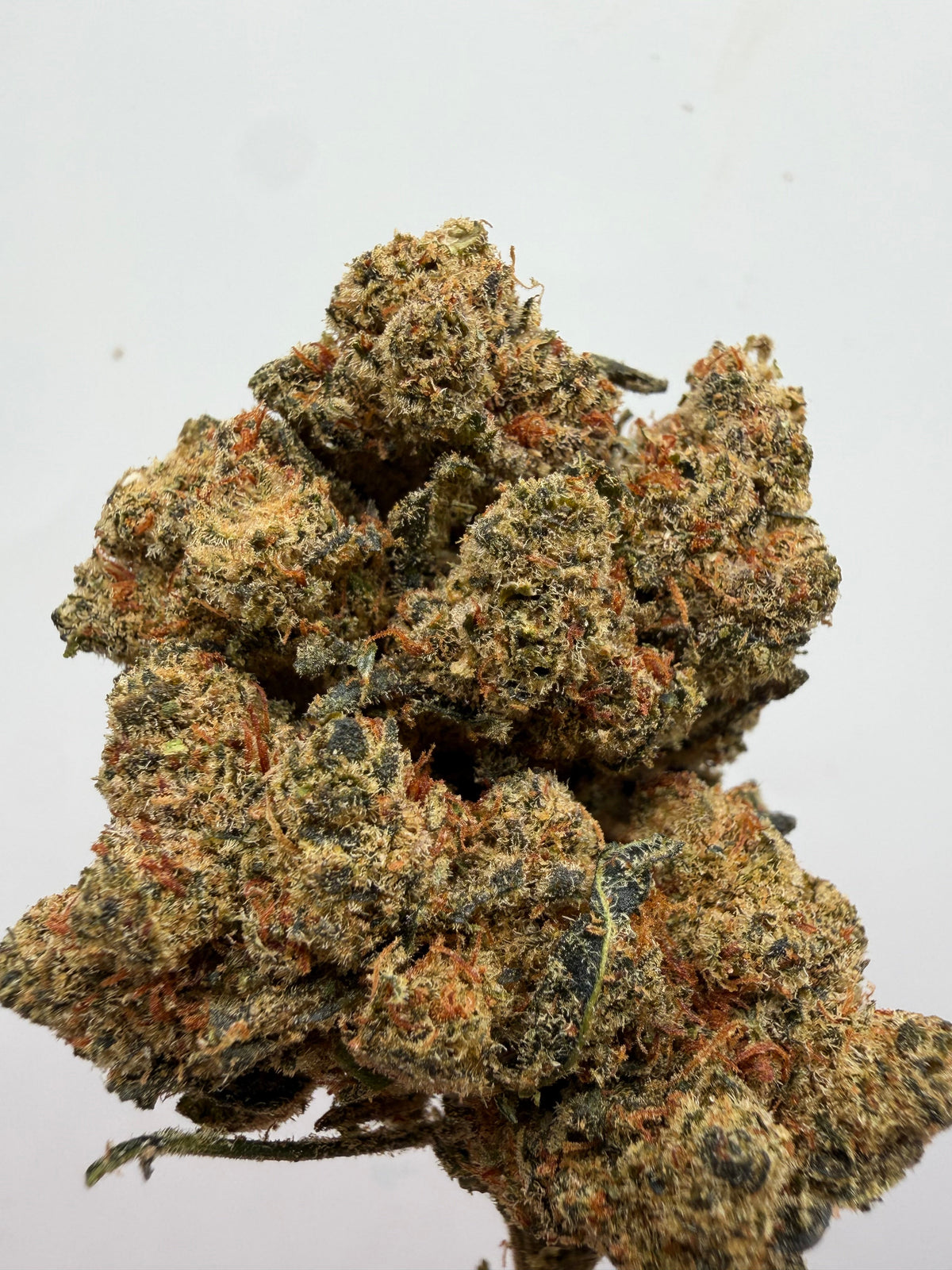 Flor 10-OH Amnesia hidropónica – GreenWitch, tienda CBD en Jaén