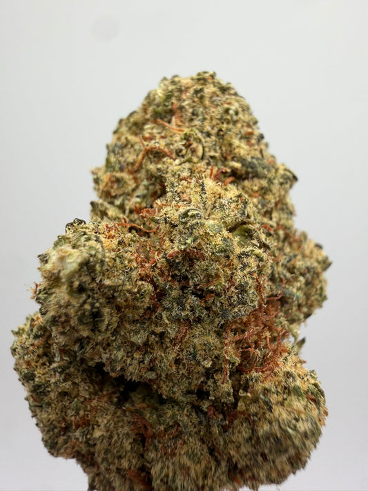 Flor CBD Sunset Sherbet greenhouse – GreenWitch, tienda CBD en Jaén (foto 2)