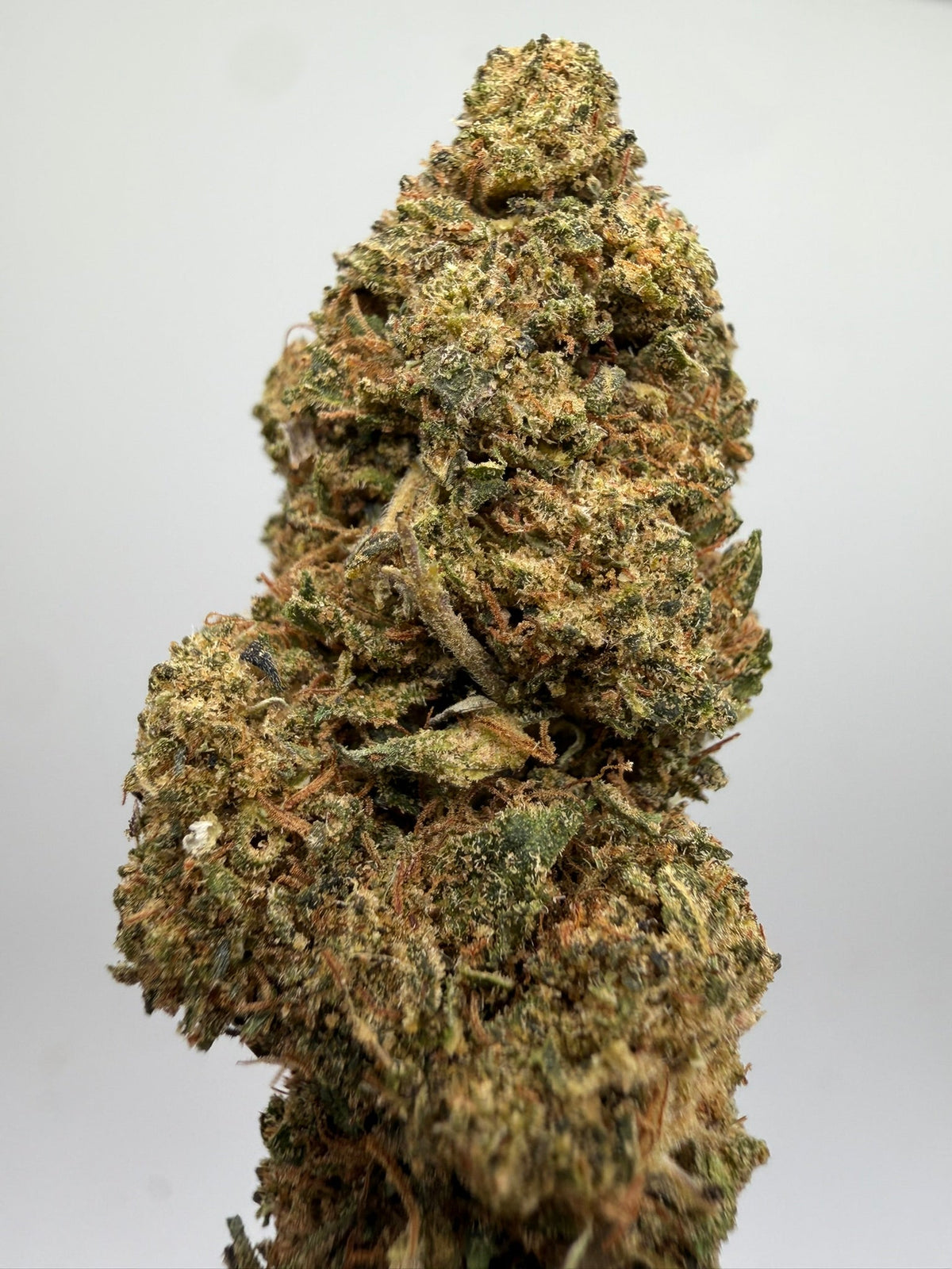 Flor CBD Medellín greenhouse – GreenWitch, tienda CBD en Jaén