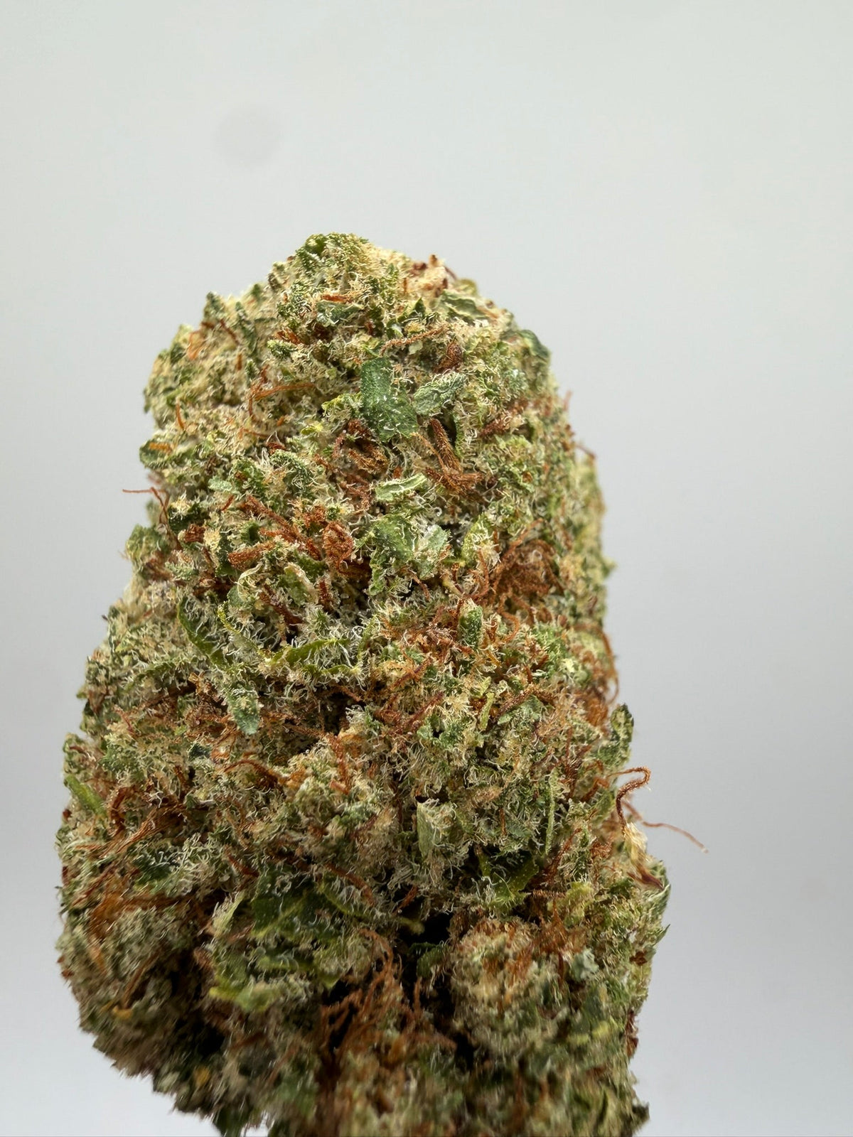 Flor CBD Orange Sherbet hidropónica – GreenWitch, tienda CBD en Jaén (foto 2)