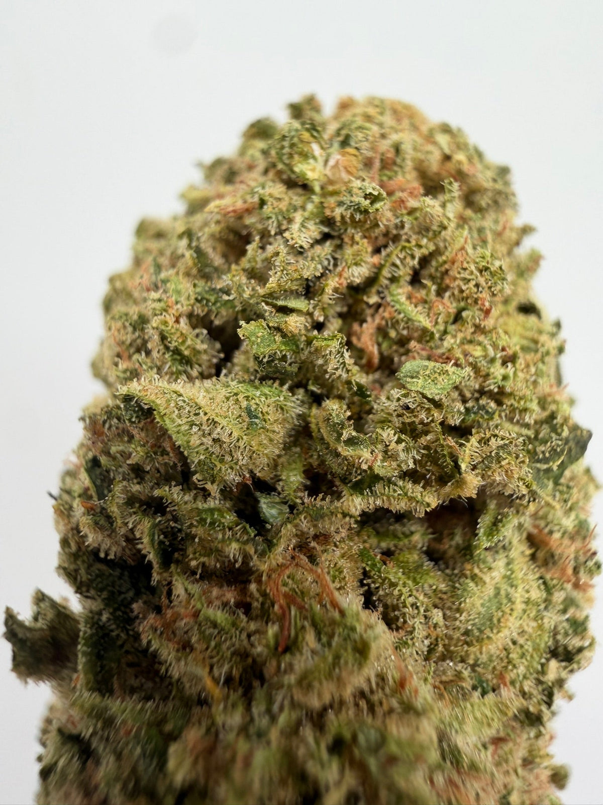 Flor CBD Amnesia greenhouse – GreenWitch, tienda CBD en Jaén (foto 1)