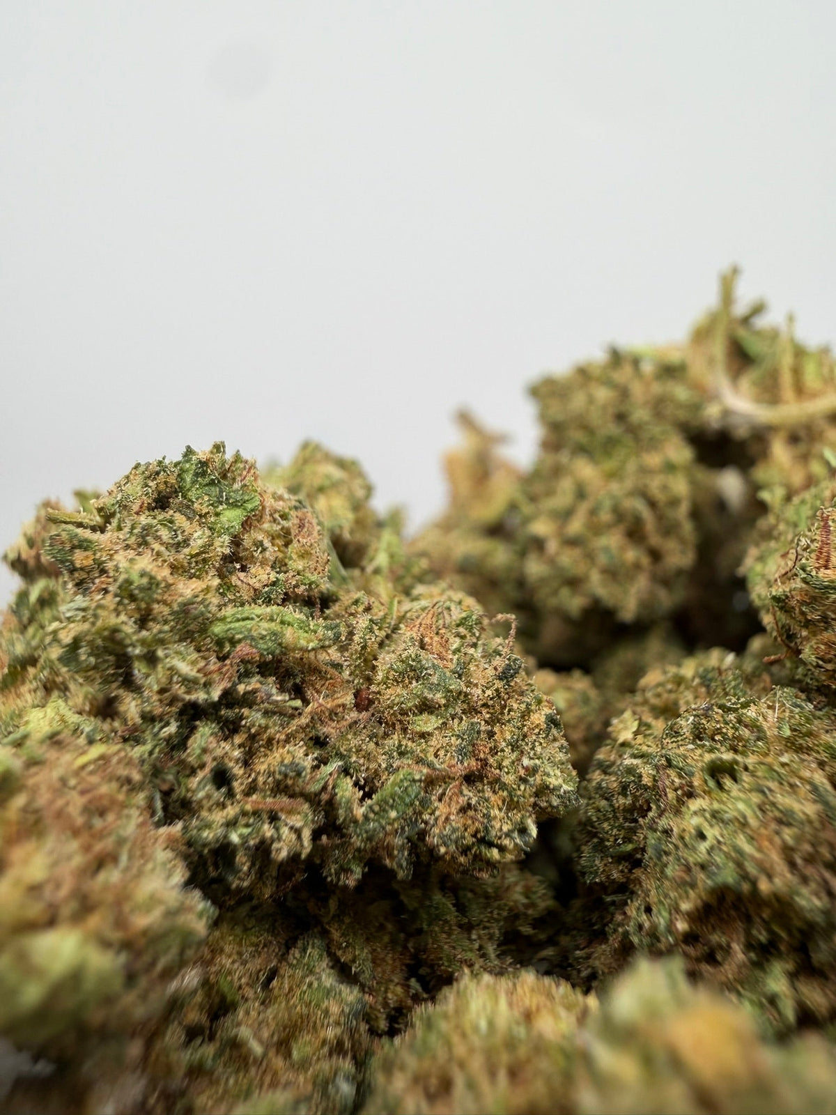 Mini buds CBD Cannatonic – GreenWitch, tienda CBD en Jaén