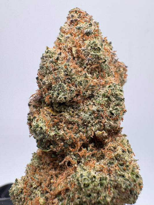 Cogollo de Flor Aromática de CBD al 32% · PLAYBOY HIDROPONICO