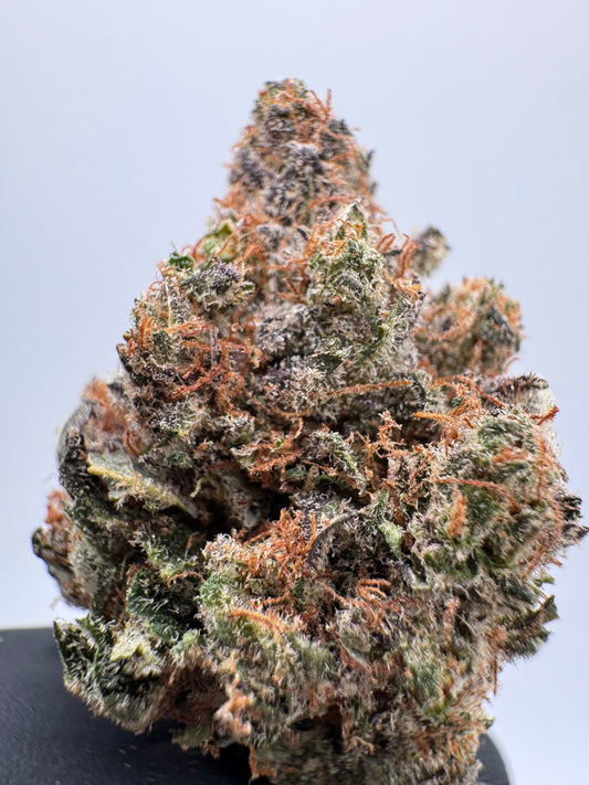 Cogollo de Flor Aromática de CBD al 52% · HOLANDESA HIDROPONICA