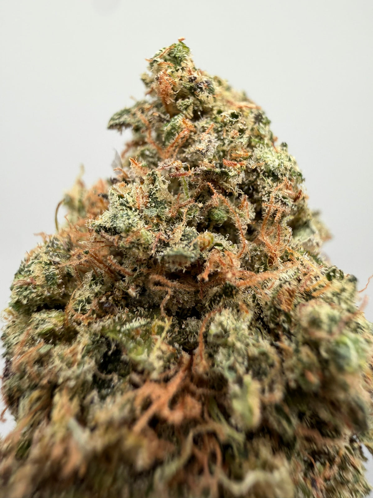 Flor CBD Zombie Kush californiana – GreenWitch, tienda CBD en Granada y Jaén
