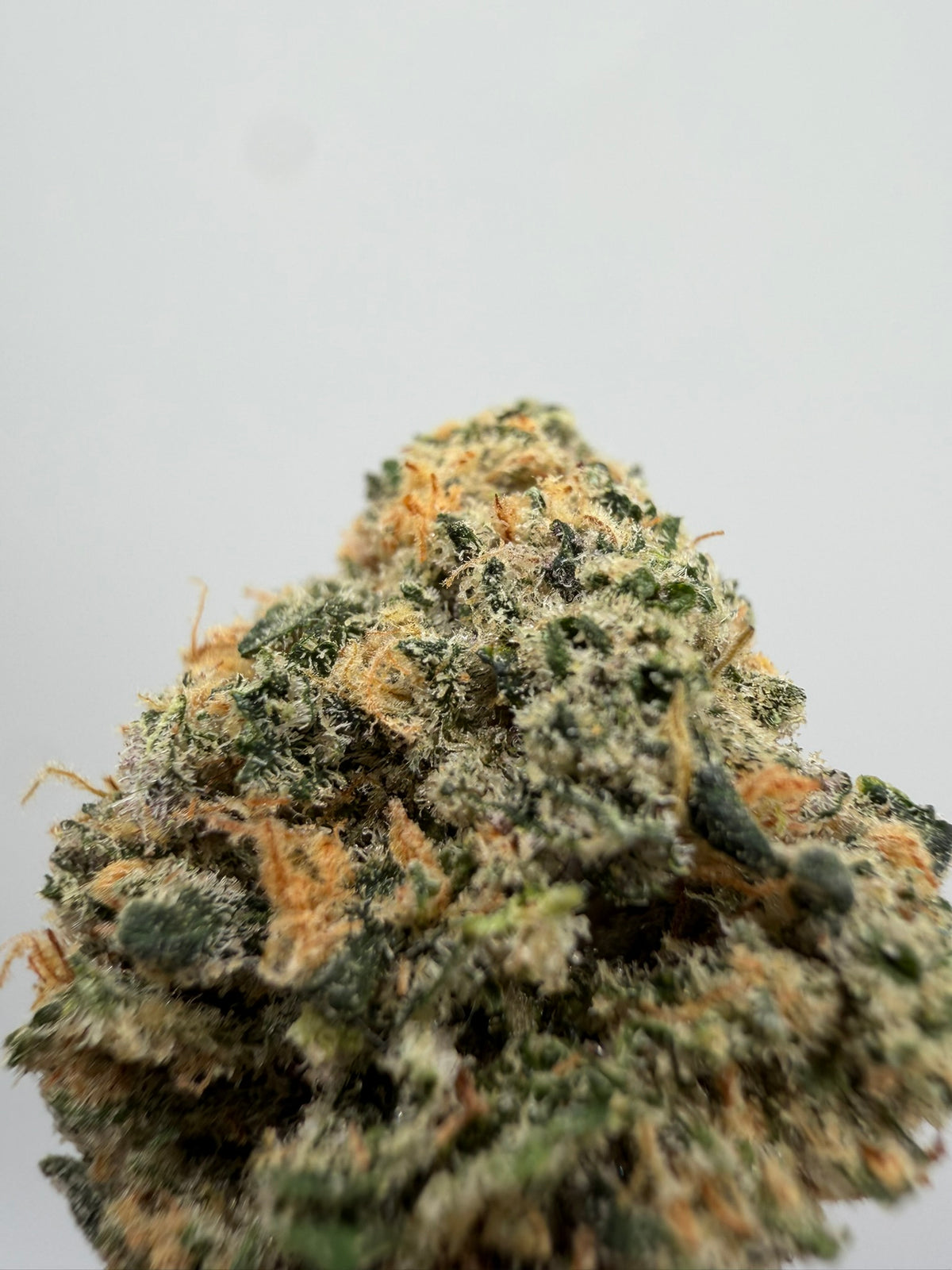 Mini buds CBD Gelato californianos – GreenWitch, tienda CBD en Granada y Jaén